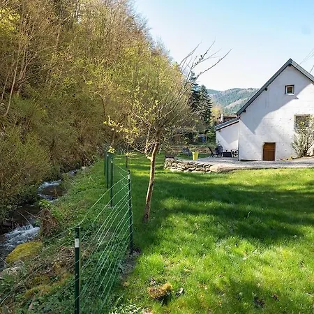 Gîte de charme refait à neuf, à Rimbach en Alsace. Extérieur photo